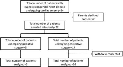 Changes in Near-Infrared Spectroscopy After Congenital Cyanotic Heart Surgery